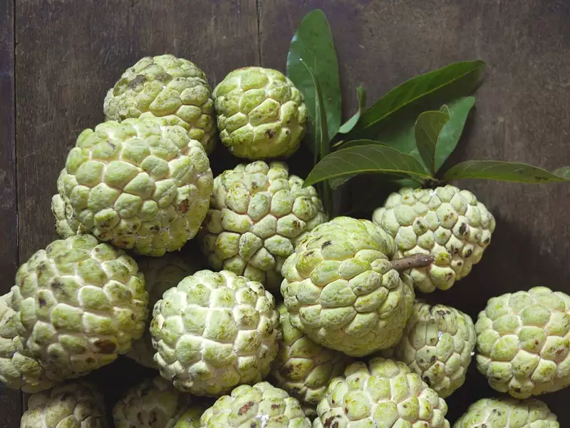 Custard Apple